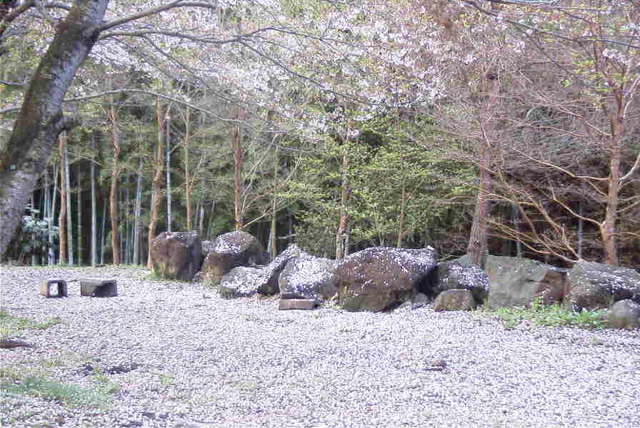 000411sakuramichi03a